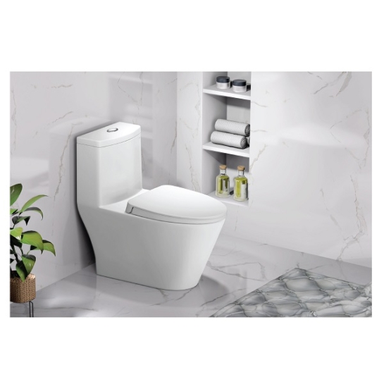 Bồn cầu Caesar CD1363