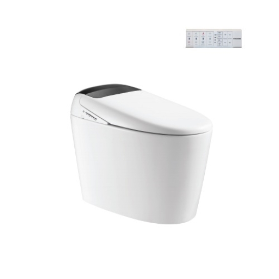 Bồn Cầu Thông Minh Viglacera V97.WB